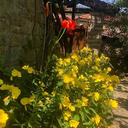 Πατρικό ολόκληρος ξενώνας entire stone guesthouse Neraïdochóri