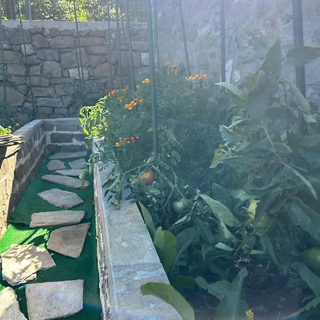 Πατρικό ολόκληρος ξενώνας entire stone guesthouse 샬레 Neraïdochóri