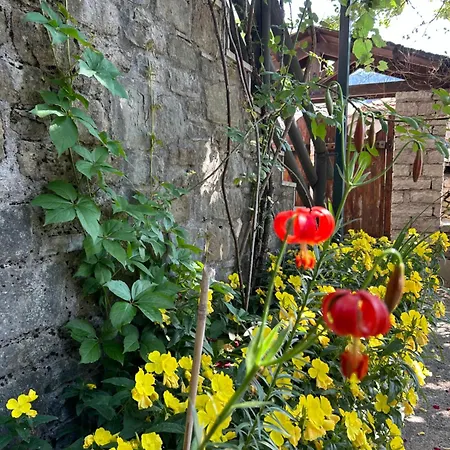 Πατρικό ολόκληρος ξενώνας entire stone guesthouse Alpehytte *