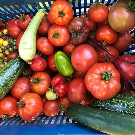 Πατρικό ολόκληρος ξενώνας entire stone guesthouse