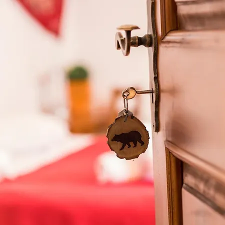 Πατρικό ολόκληρος ξενώνας entire stone guesthouse Alpehytte *