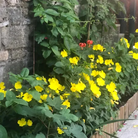 Πατρικό ολόκληρος ξενώνας entire stone guesthouse Alpehytte Neraïdochóri