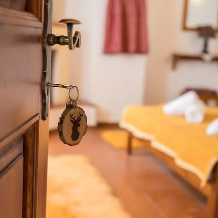 Πατρικό ολόκληρος ξενώνας entire stone guesthouse 샬레 *