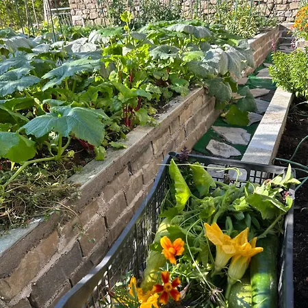 Πατρικό ολόκληρος ξενώνας entire stone guesthouse