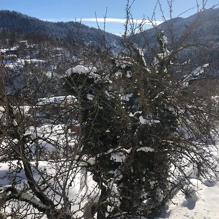 Alpehytte Πατρικό ολόκληρος ξενώνας entire stone guesthouse *