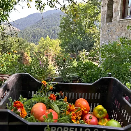 Πατρικό ολόκληρος ξενώνας entire stone guesthouse Alpehytte