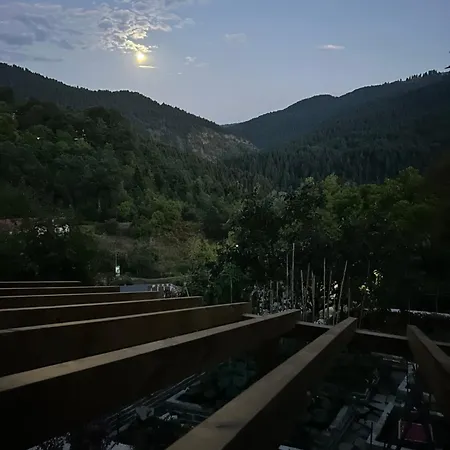 Πατρικό ολόκληρος ξενώνας entire stone guesthouse * Neraïdochóri