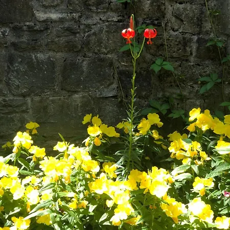 Πατρικό ολόκληρος ξενώνας entire stone guesthouse 샬레 *