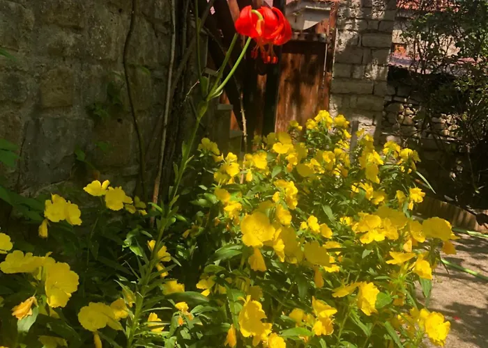 Πατρικό Ολόκληρος Ξενώνας Entire Stone Guesthouse Neraïdochóri