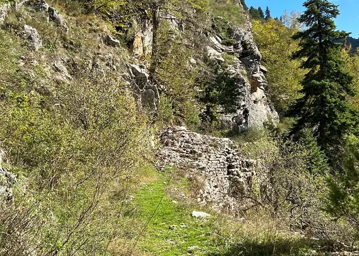 Chalet Πατρικό Ολόκληρος Ξενώνας Entire Stone Guesthouse *