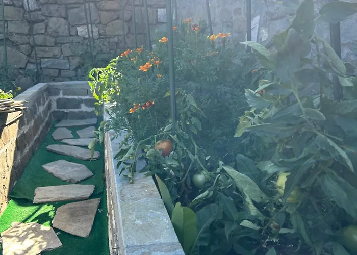 Πατρικό Ολόκληρος Ξενώνας Entire Stone Guesthouse Chalet Neraïdochóri