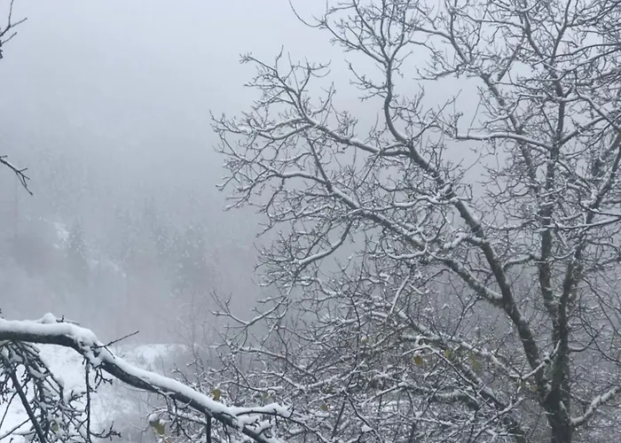 Chalet Πατρικό Ολόκληρος Ξενώνας Entire Stone Guesthouse *