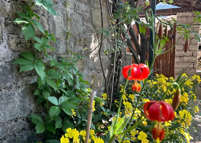 Πατρικό Ολόκληρος Ξενώνας Entire Stone Guesthouse Chalet *