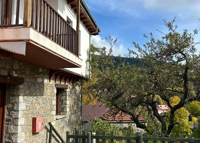 Chalet Πατρικό Ολόκληρος Ξενώνας Entire Stone Guesthouse *