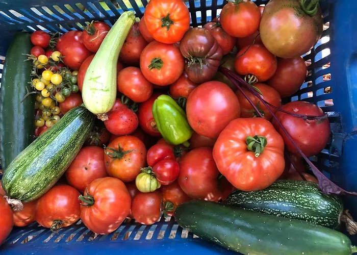 Πατρικό Ολόκληρος Ξενώνας Entire Stone Guesthouse