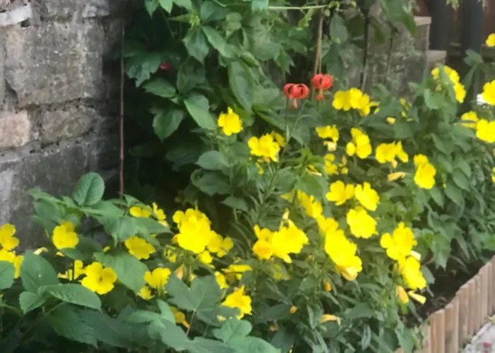 Πατρικό Ολόκληρος Ξενώνας Entire Stone Guesthouse Chalet Neraïdochóri