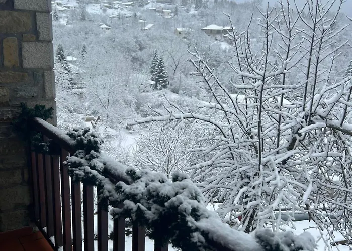 Πατρικό Ολόκληρος Ξενώνας Entire Stone Guesthouse Chalet *