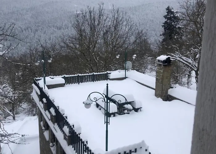 Πατρικό Ολόκληρος Ξενώνας Entire Stone Guesthouse Chalet