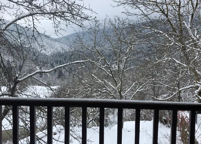 Πατρικό Ολόκληρος Ξενώνας Entire Stone Guesthouse *