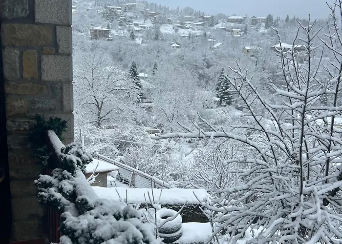 Chalet Πατρικό Ολόκληρος Ξενώνας Entire Stone Guesthouse