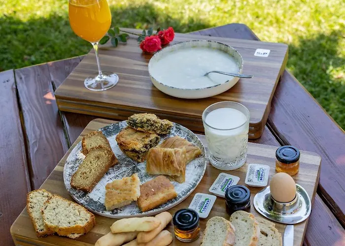 Πατρικό Ολόκληρος Ξενώνας Entire Stone Guesthouse * Neraïdochóri