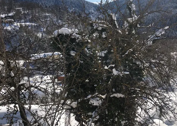 Chalet Πατρικό Ολόκληρος Ξενώνας Entire Stone Guesthouse *