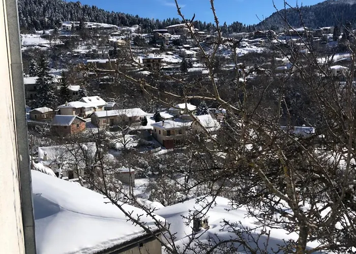 Πατρικό Ολόκληρος Ξενώνας Entire Stone Guesthouse Neraïdochóri