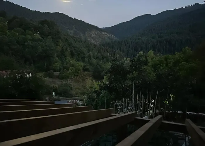 Πατρικό Ολόκληρος Ξενώνας Entire Stone Guesthouse * Neraïdochóri