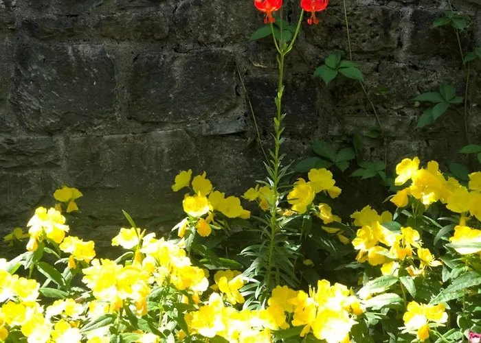 Πατρικό Ολόκληρος Ξενώνας Entire Stone Guesthouse Chalet *